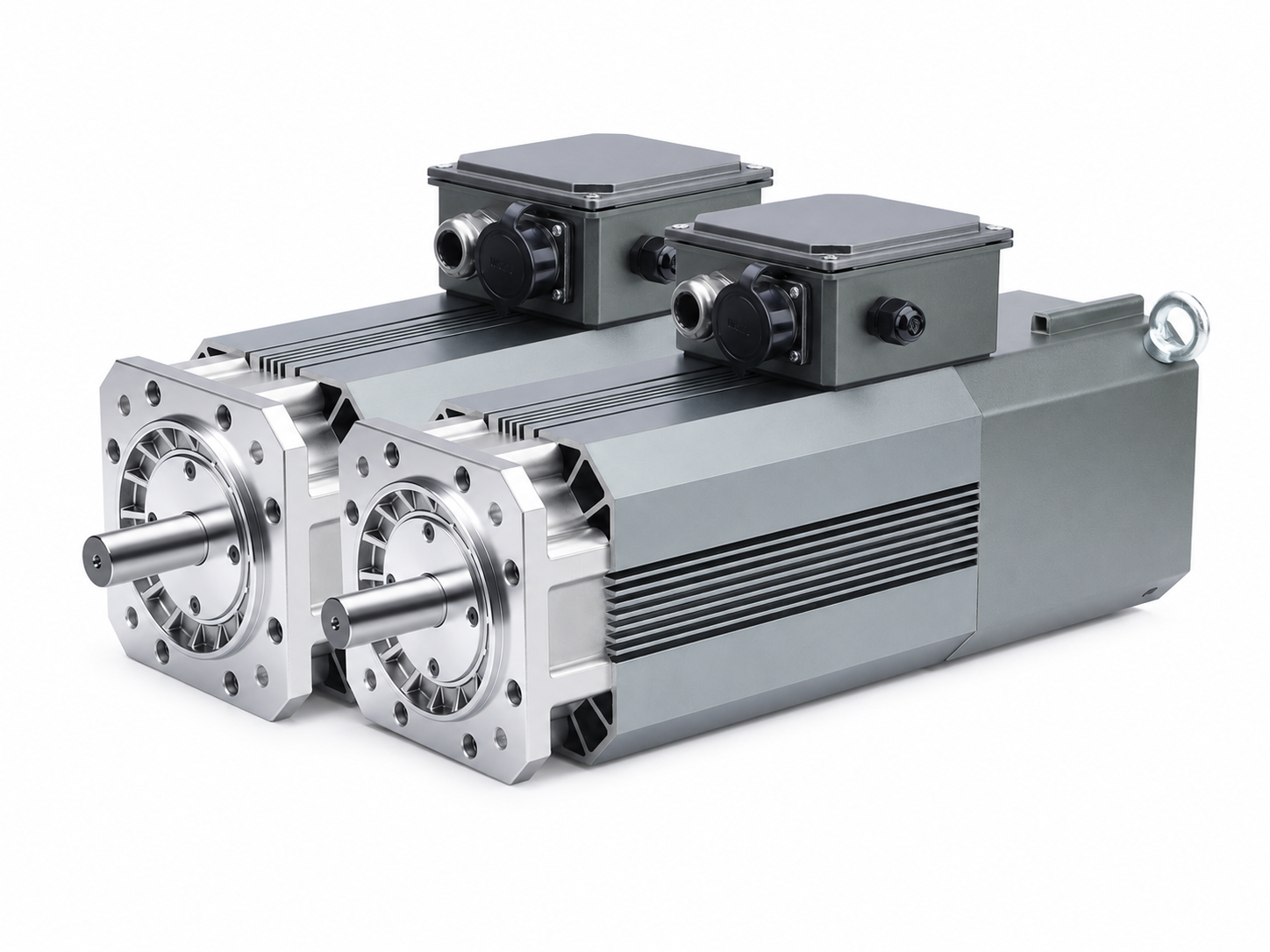 Permanent magnet motor